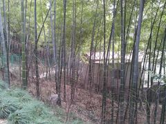 -上海佘山国家森林公园西佘山园