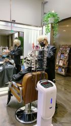 -崇尚GAVIN STYLE臻选