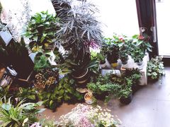 -杭州街角花屋花店(闻堰店)
