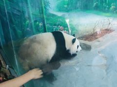 -灵玲国际马戏城