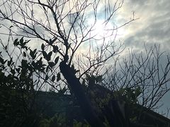-乌石塘景区