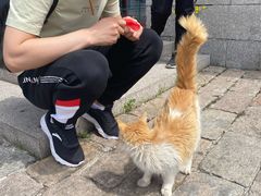 -北京恒爱动物医院(清景园分院)