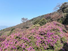 -广州市石门国家森林公园