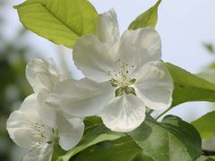 -海棠花溪(元大都城垣遗址公园)