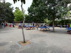 景点-紫荆山公园