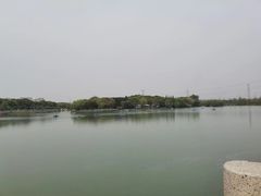 -昆山城市生态森林公园