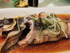 -白金汉爵大酒店·中餐厅(相城店)