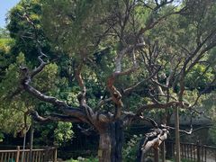 -草庵摩尼教遗址公园