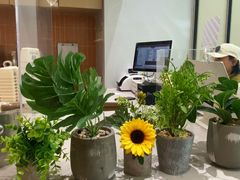 -野人先生现做冰淇淋(贵阳万象汇店)