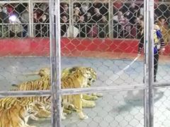 -西安秦岭野生动物园