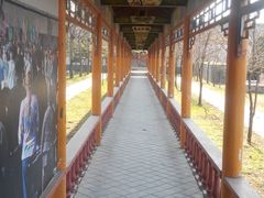 -杨家埠民间艺术大观园