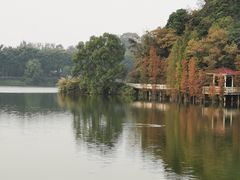 -广州市白云山风景名胜区