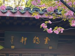 -杭州半山国家森林公园