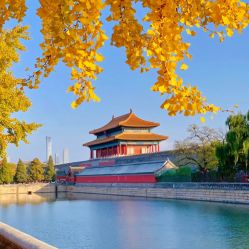 -Oasis Beauty水磨坊科技美肤中心