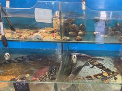 -颐和海鲜·饺子馆