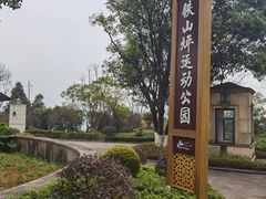 -铁山坪森林公园
