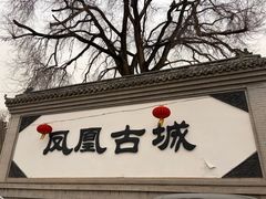 -柳沟豆腐宴69号福豆堂