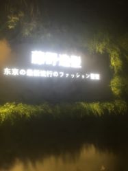 点击看大图 -藤野造型