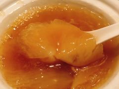 -新同乐鱼翅酒家(美丽华店)