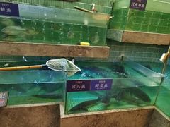 -鱼你相聚·河鲜馆(袁家岭店)
