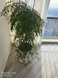 -HEYAN荷妍专业脱毛连锁机构