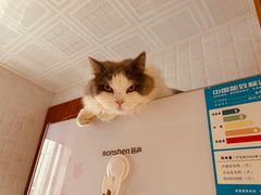 -风味烧烤