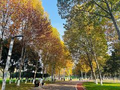 -重庆中央公园(渝北区)