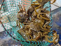 -阳澄湖大闸蟹·琼灵阁牌品牌连锁(吴中总店)