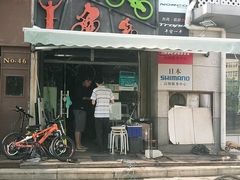 -道路口单车爱瓦士dahon大行