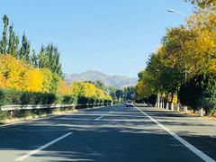 -北京十三陵国家森林公园蟒山景区