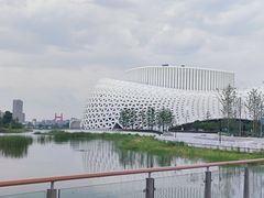 -金沙湖公园