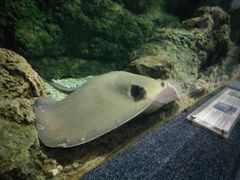-南昌海洋公园
