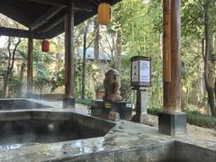 -西安国际创新人才交流中心•药浴温泉