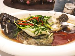 清蒸龙胆鱼-富黎华海鲜大酒楼(正大广场店)