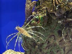 -萌宠奇缘(荣鼎店)