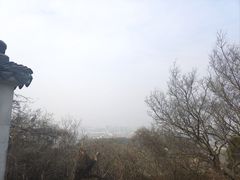 -苏州上方山国家森林公园