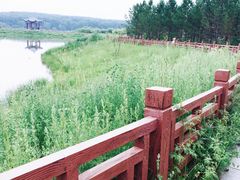 -塞罕坝国家级自然保护区