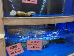 -骏丰酒楼(黄编店)