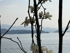 -桂山风景旅游区