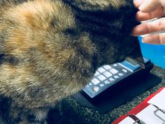 -协和菜馆(凤凰街店)