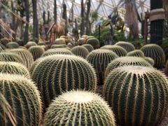 -上海辰山植物园