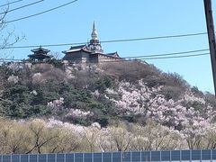 -颐和园
