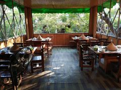 -抚仙湖生态石锅鱼野生菌(告庄店)