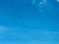-大港湿地公园
