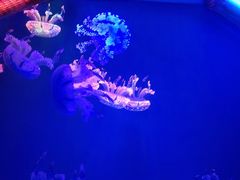 -多彩贵州城极地海洋世界