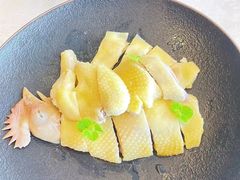 -南海渔村·空中一号
