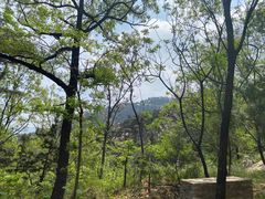 -沂蒙山旅游区云蒙景区(蒙山国家森林公园)
