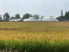 -中国天府农业博览园