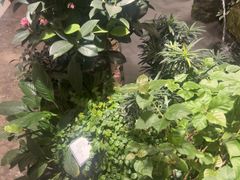 -颐而康·按摩·艾灸·足疗(汽车东站店)