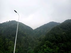 -铁山坪森林公园